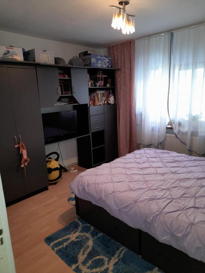 Apartament Straja - Lupeni  Екстериор снимка